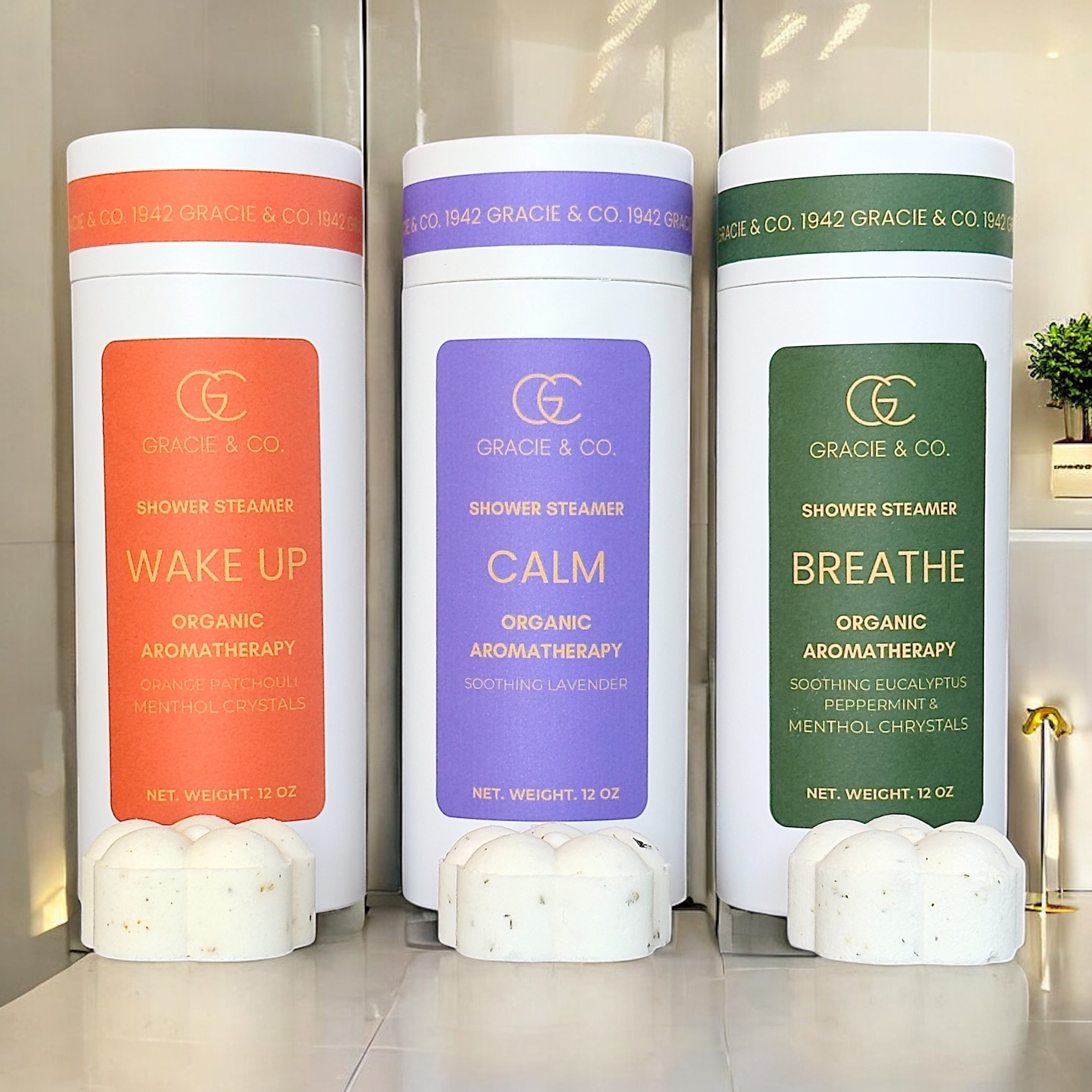 Aromatherapy Botanical Shower Steamers 6 Piece Set - Gracie & Co. 1942